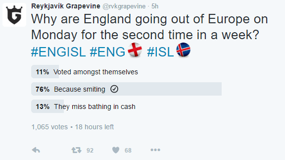 reykjavik grapevine-1