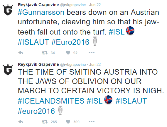 reykjavik grapevine-5